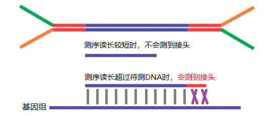 1.png 1.png